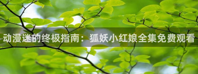 omofun动漫