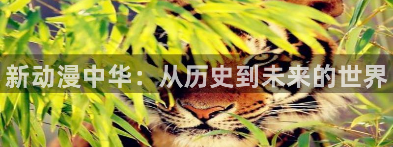 omofun苹果能下载吗