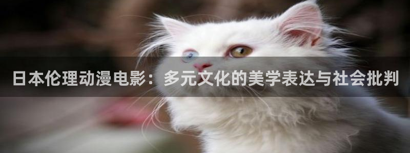 新版omofun下载：日本伦理动漫电影：多元文化的美学表达与社会批判