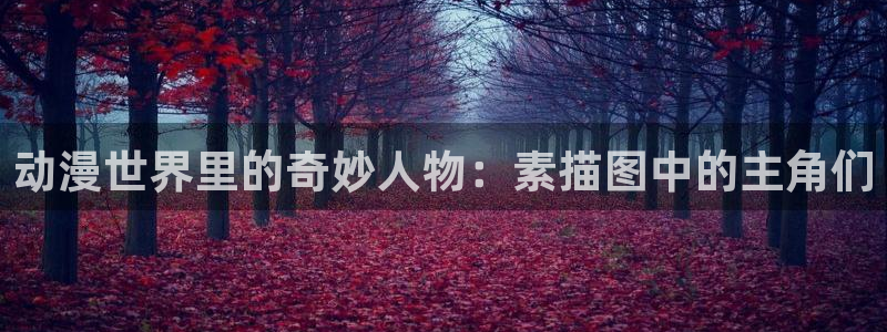 omofun免签：动漫世界里的奇妙人物：素描图中的主角们