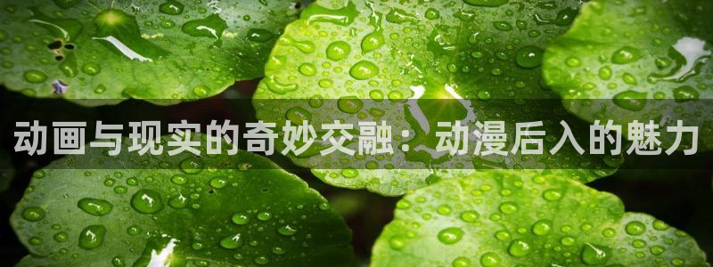 omofun老版本下载：动画与现实的奇妙交融：动漫后入的魅力