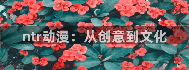 omofun. t：ntr动漫：从创意到文化