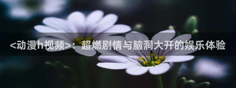 omofunapp：<动漫h视频>：超燃剧情与脑洞大开的娱乐体验