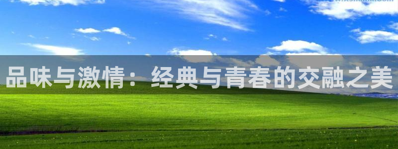 下载omofun动漫：品味与激情：经典与青春的交融之美