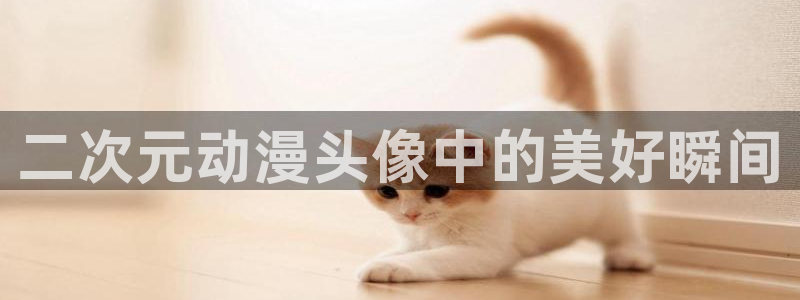 omofun动漫软件下载：二次元动漫头像中的美好瞬间