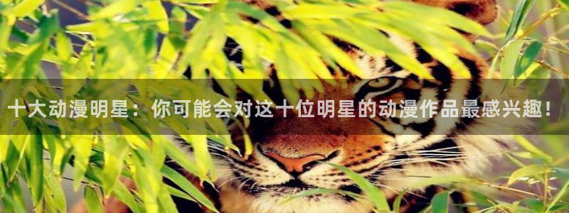 omofun动漫下载：十大动漫明星：你可能会对这十位明星的动漫作品最感兴趣！