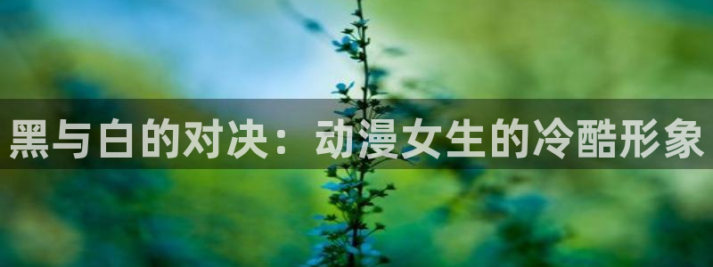 omofun.on：黑与白的对决：动漫女生的冷酷形象