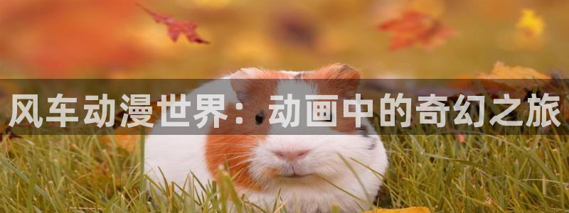 omofun全新版官网入口：风车动漫世界：动画中的奇幻之旅