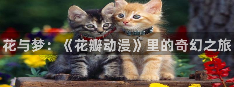 omofun最新纯净版：花与梦：《花瓣动漫》里的奇幻之旅