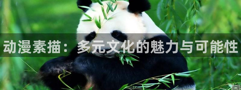 omofun 翻译：动漫素描：多元文化的魅力与可能性