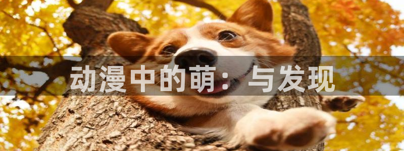 omofun新版本下载