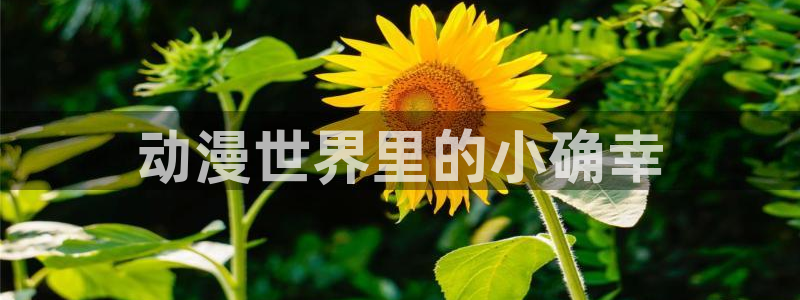 omofun自签