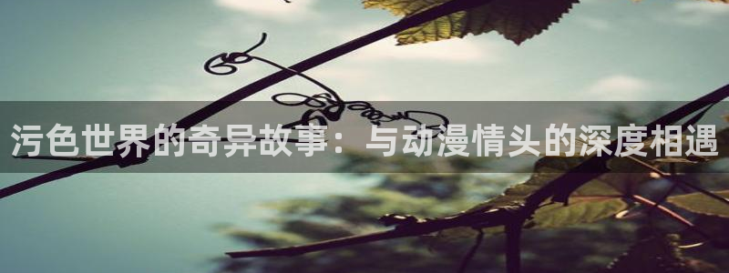 omofun网页版入口处
